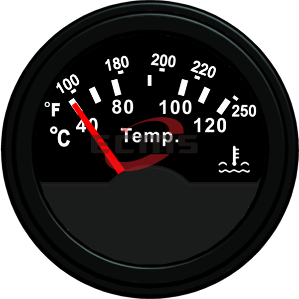 ECCS-Water temperature gauge